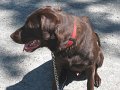 IMG_0052