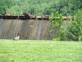 IMG_0054