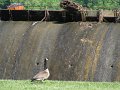 IMG_0055