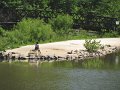 IMG_0062