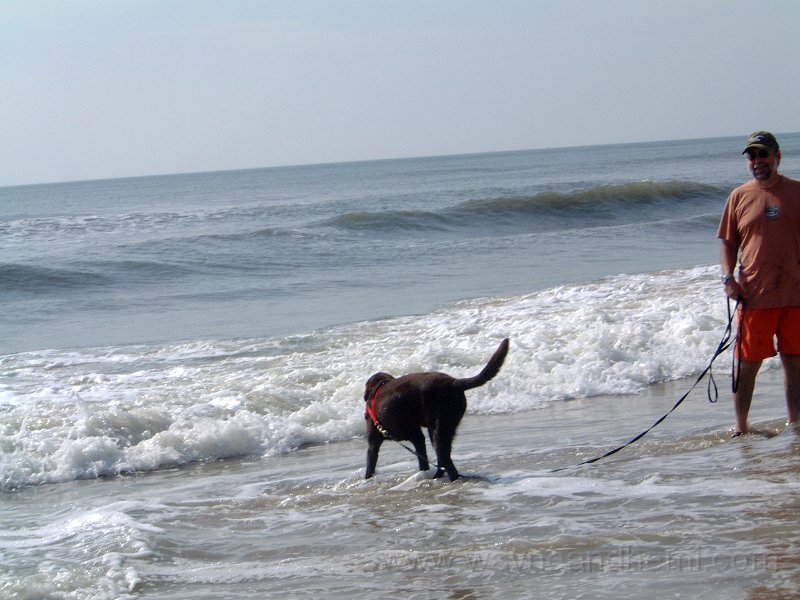 DSCF0025.JPG