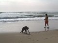 DSCF0016