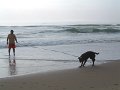 DSCF0017