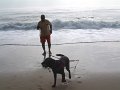 DSCF0022