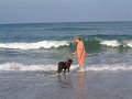 DSCF0031