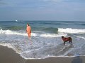 DSCF0033