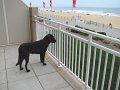 IMG_0102