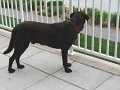 IMG_0105