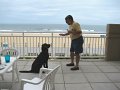 IMG_0108