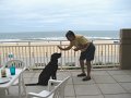 IMG_0110