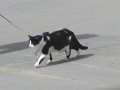 IMG_0118