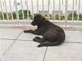 IMG_0142