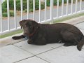 IMG_0145