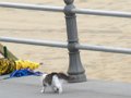 IMG_0150