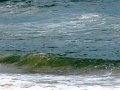IMG_0162