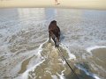 IMG_0169