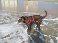 IMG_0171