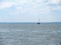 IMG_0453