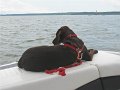 IMG_0539