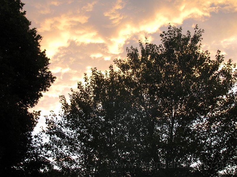 IMG_0645.JPG