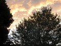IMG_0645