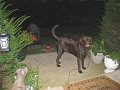 IMG_0662