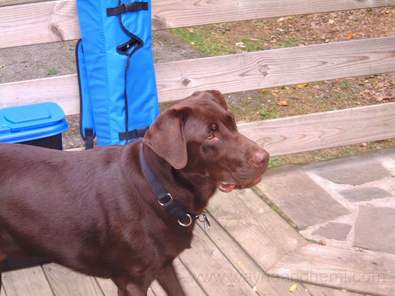 DSCF0025.JPG