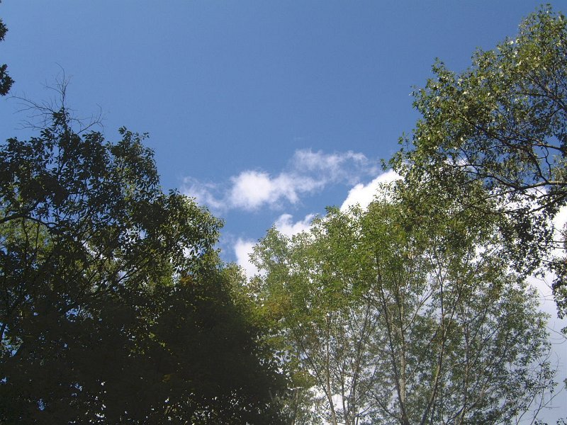 DSCF0030.JPG