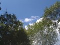 DSCF0030
