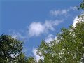 DSCF0031