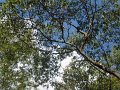 DSCF0032