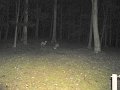IMG_0735