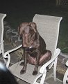IMG_0785