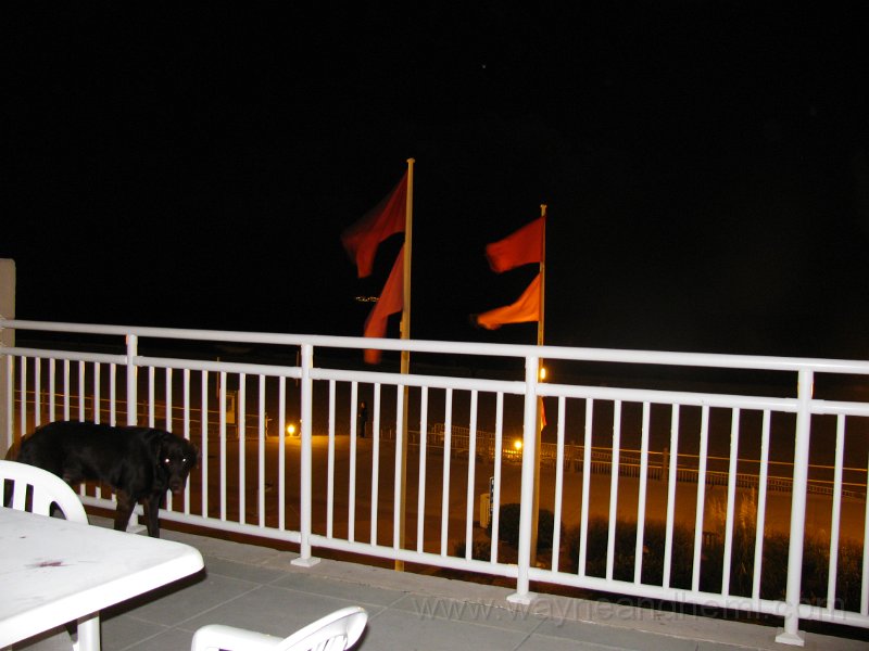 IMG_0876.JPG
