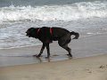IMG_0818
