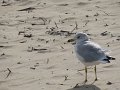 IMG_0822