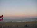 IMG_0848