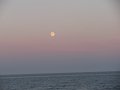 IMG_0850