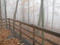 IMG_0002