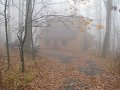 IMG_0004