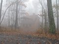 IMG_0005