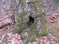IMG_0019