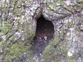 IMG_0020