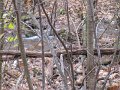 IMG_0021