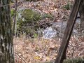 IMG_0022