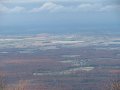 IMG_0031