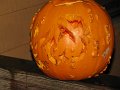 IMG_0048