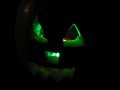 IMG_0050