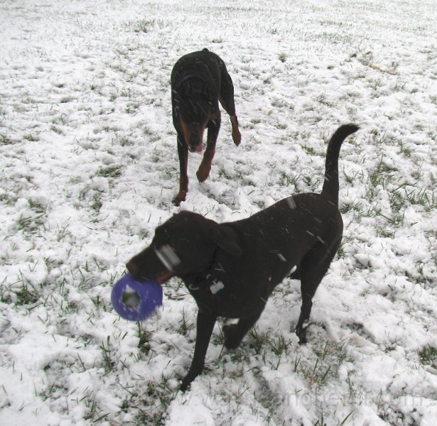 2009-12_05_0012.JPG