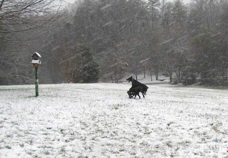 2009-12_05_0014.JPG